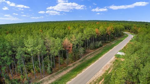 Photo of 10886 Ruger Road, Willis, TX 77378 (MLS # 24130585)