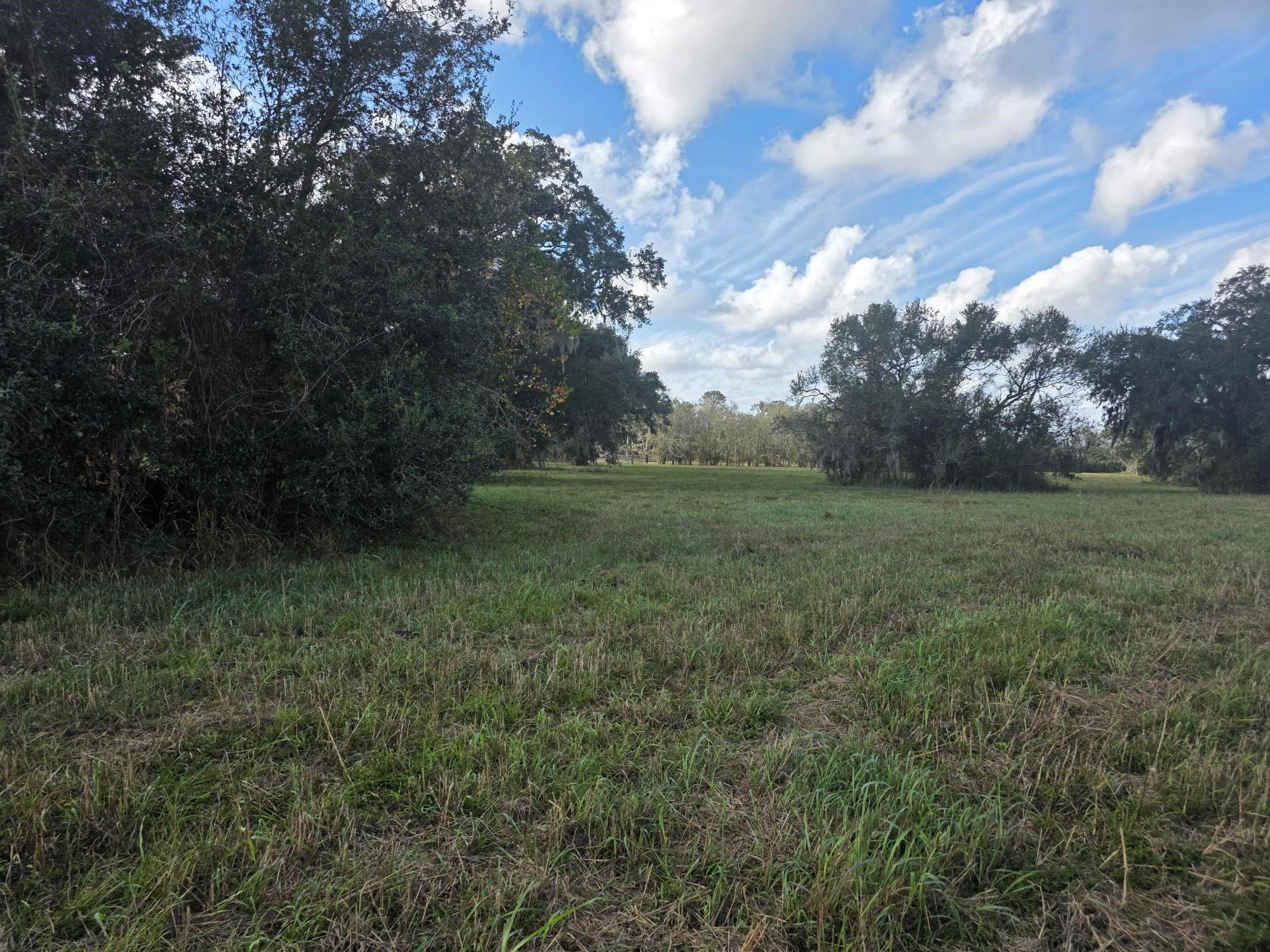 340 Pony Trail