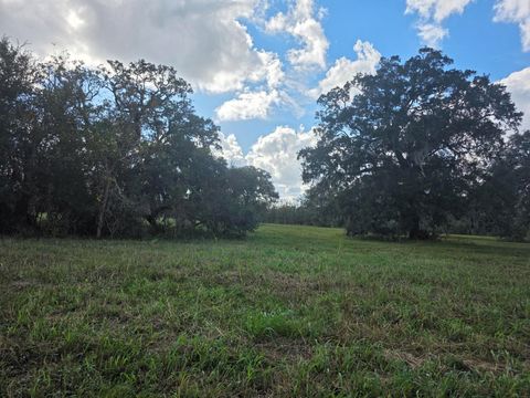 Photo of 340 Pony Trail Trl, Angleton, TX 77515 (MLS # 9379295)