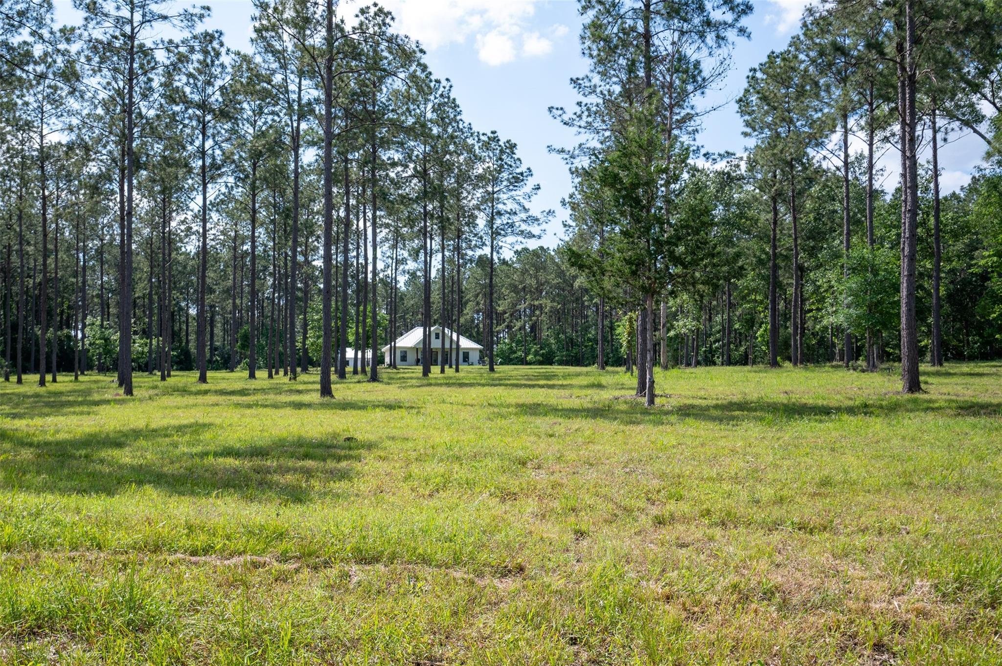 1068 County Road 3200