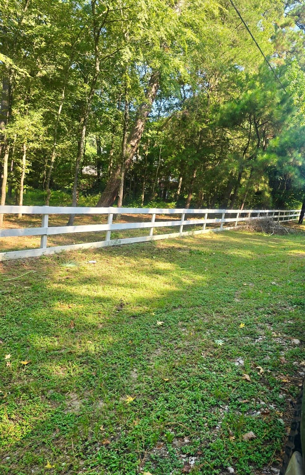 7393 Teaswood Drive