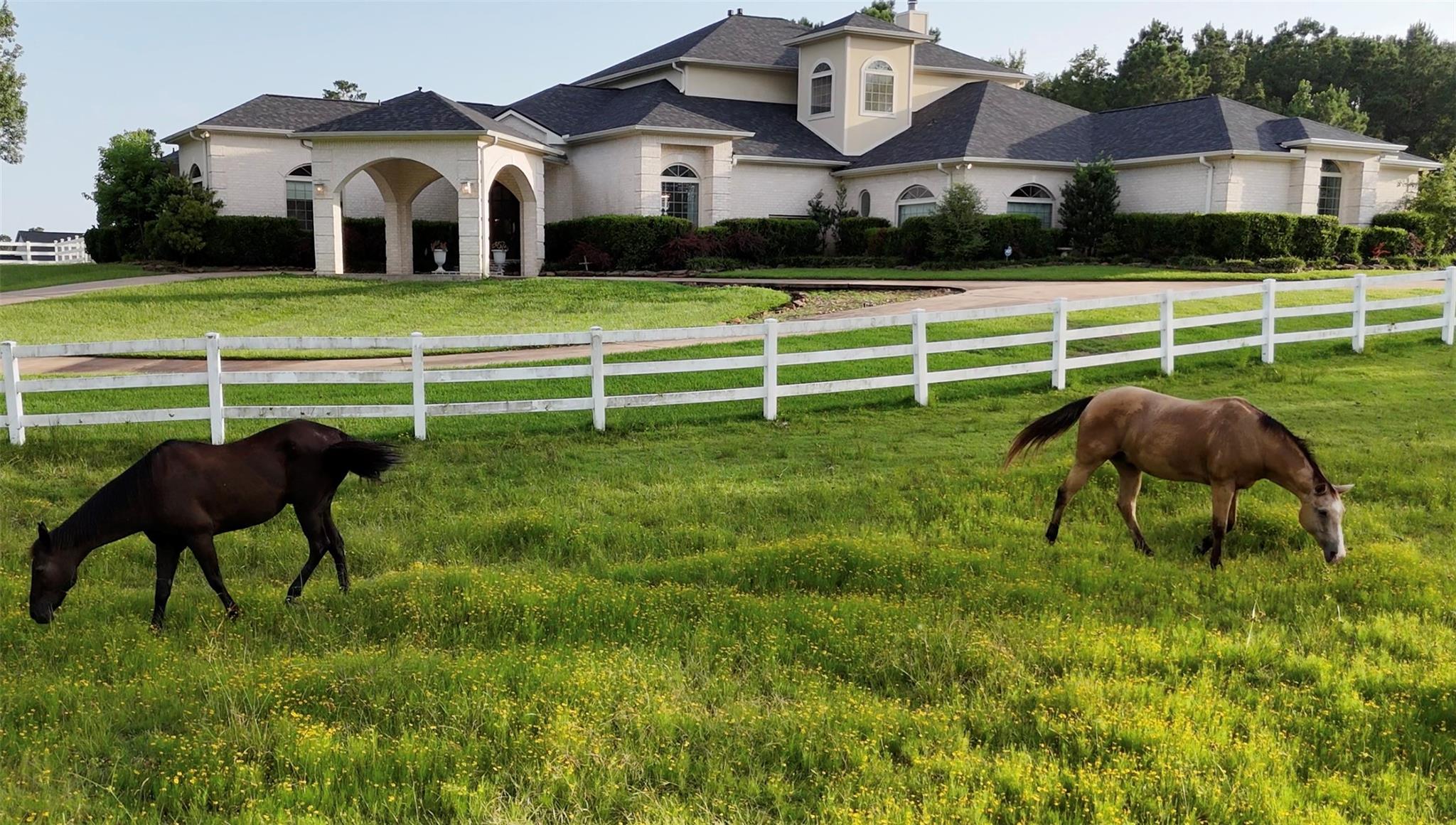 11500 Majestic Drive