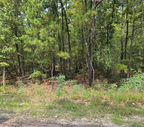 Photo of 123 Ashridge Drive, Brookeland, TX 75931 (MLS # 45626817)
