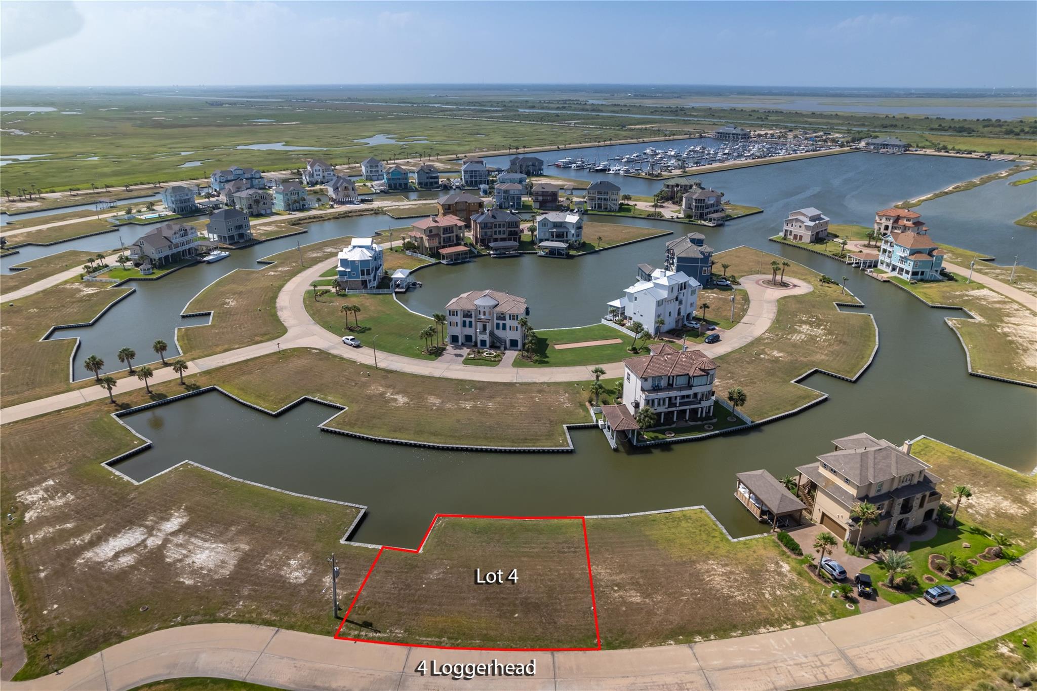 4 Loggerhead