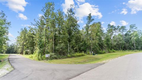 Photo of 194 Exploration Road, Willis, TX 77378 (MLS # 29149650)