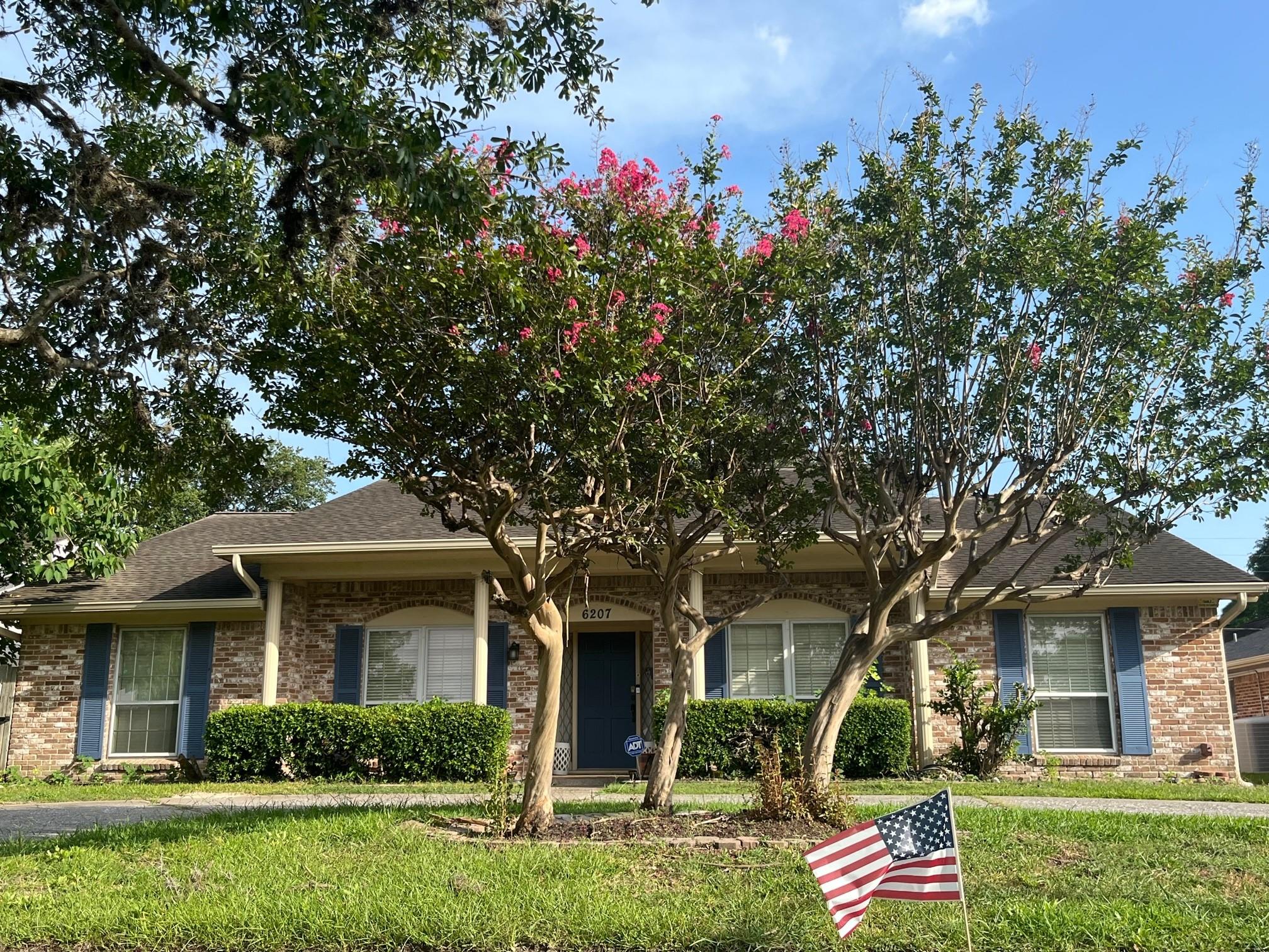 6207 S Braeswood Boulevard