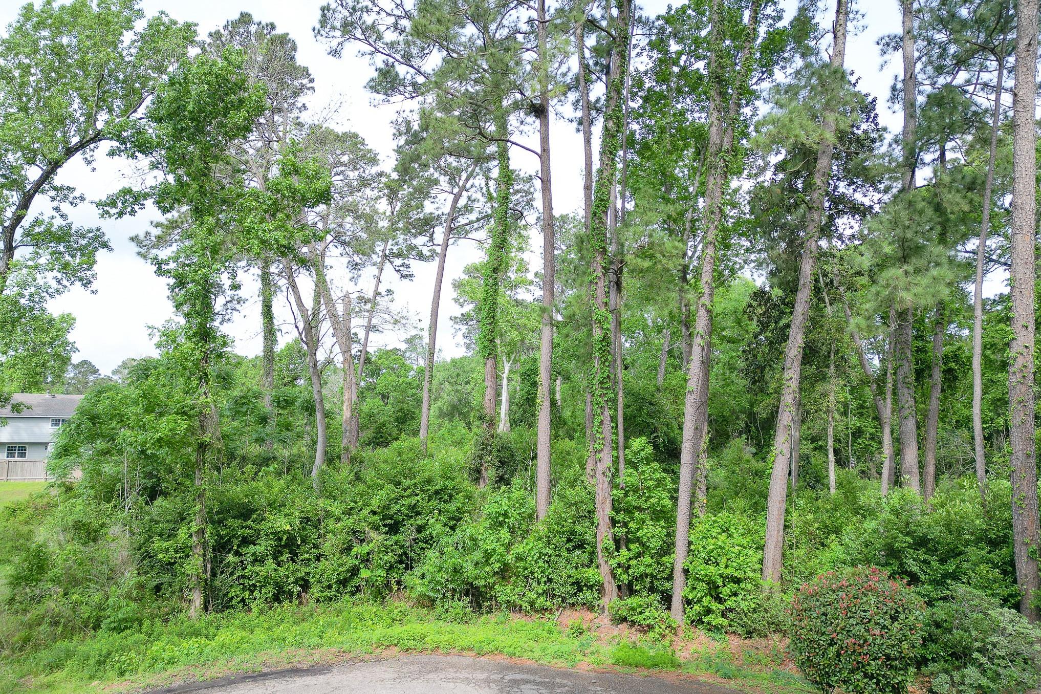 0 Roanoke Drive