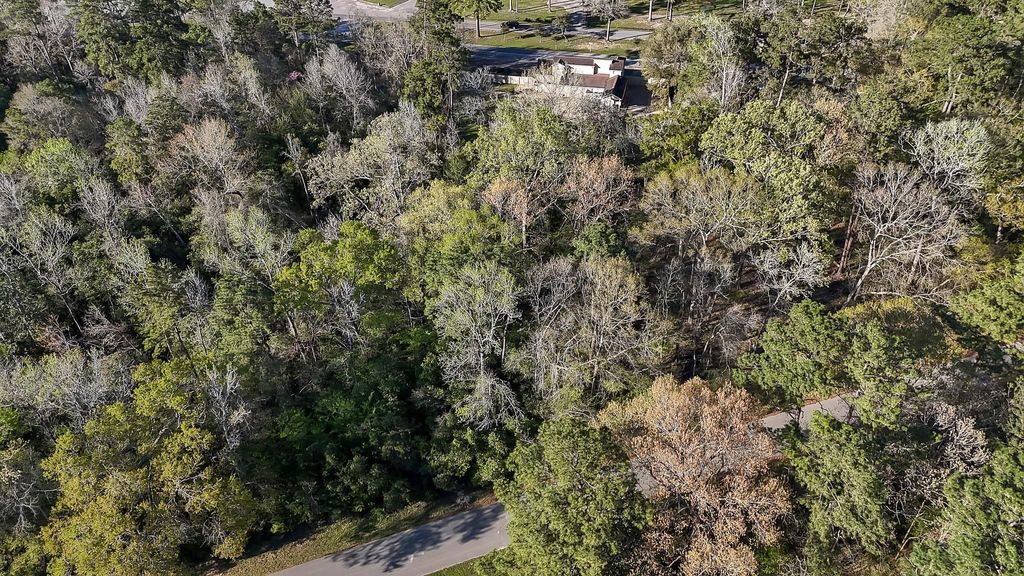 Photo of 231 Chariot Lane Ln, Roman Forest, TX 77357 (MLS # 59631817)