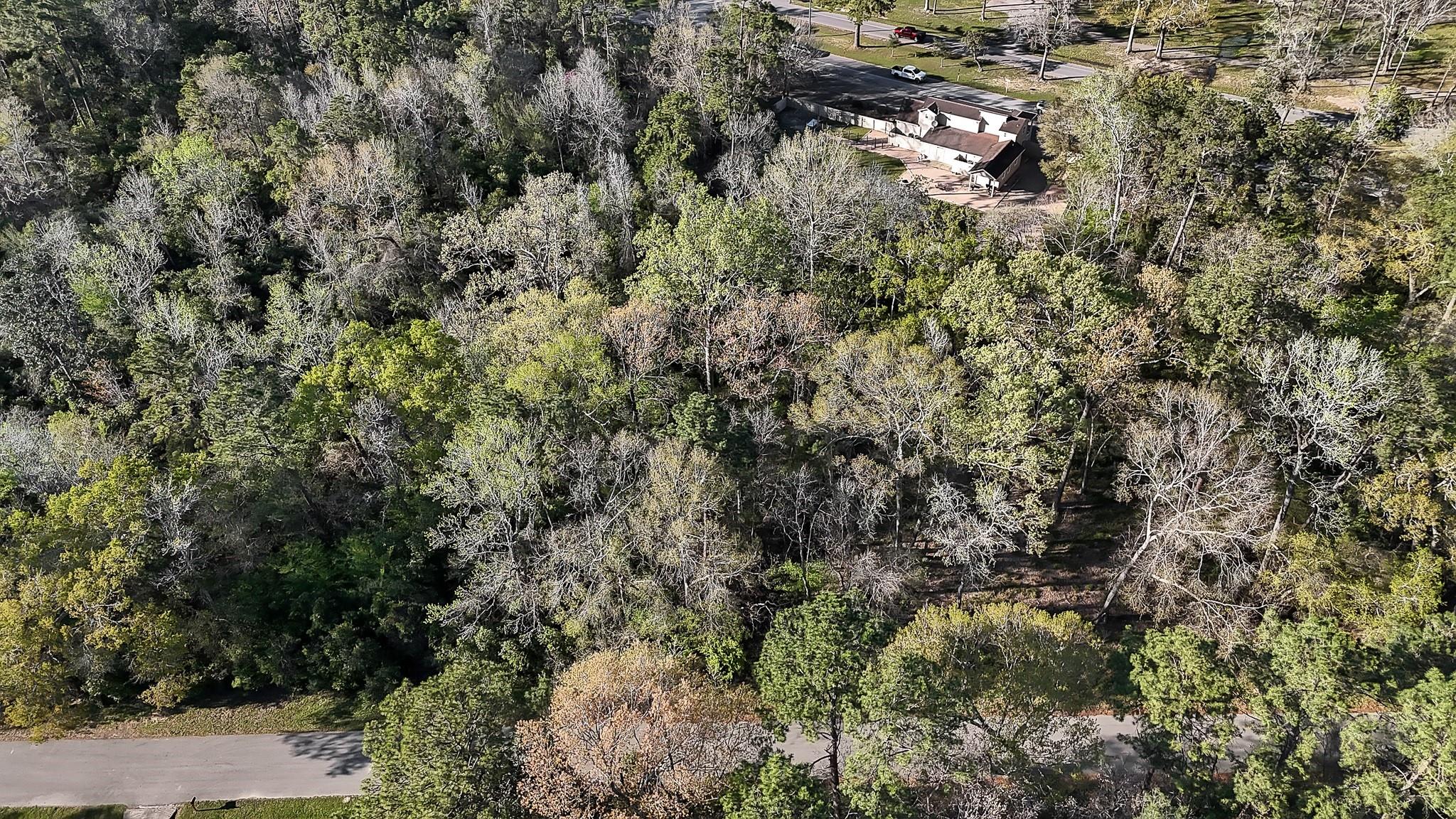 231 Chariot Lane