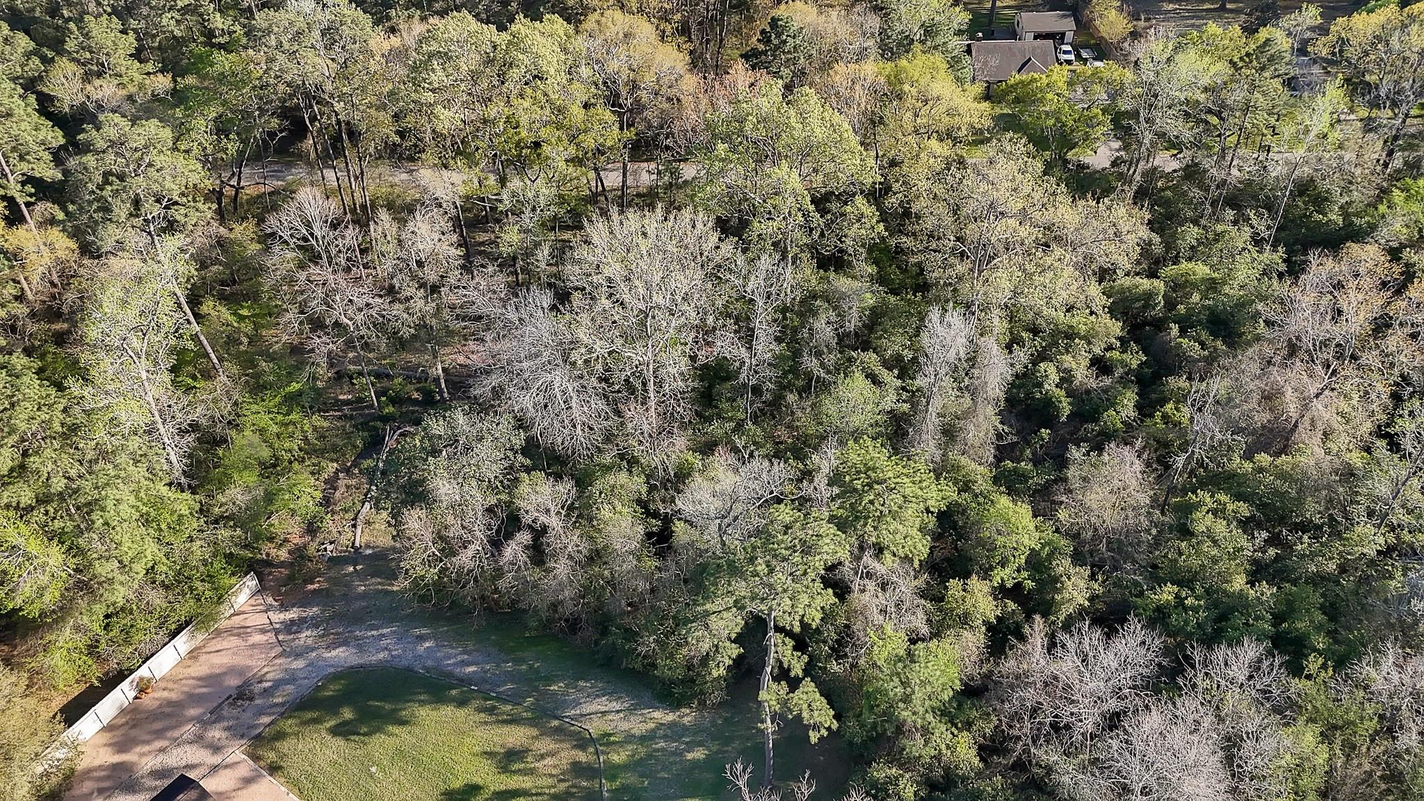 231 Chariot Lane