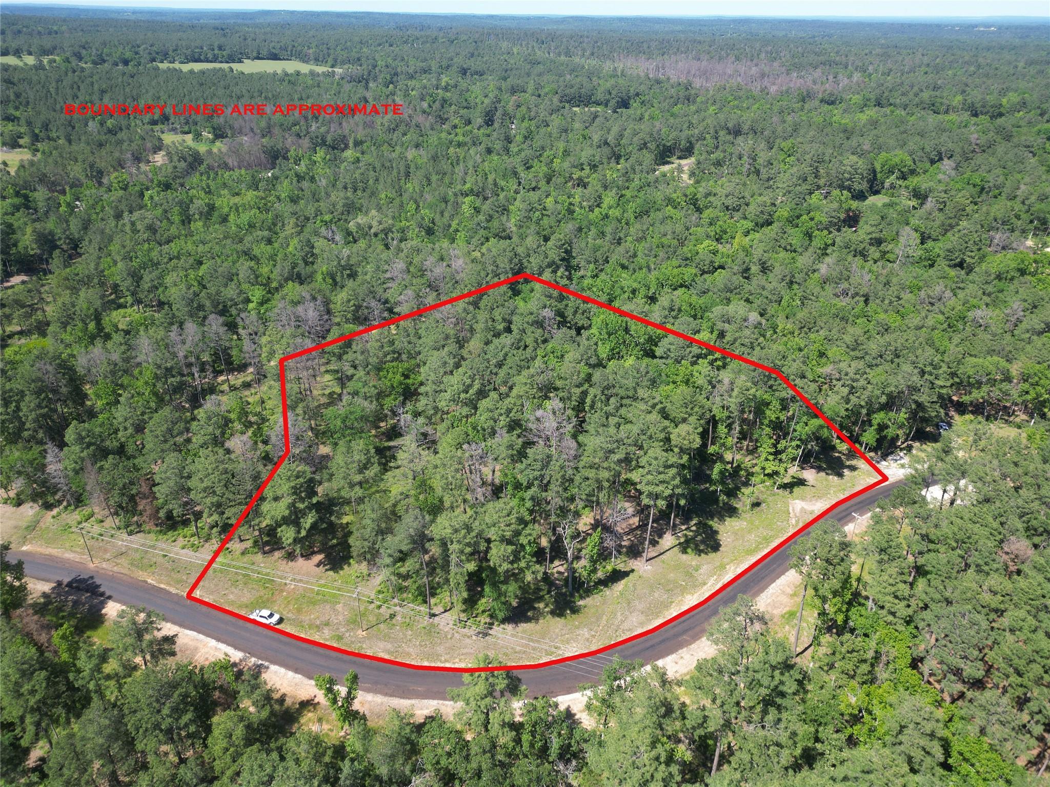 Lot 22 Pr 1313