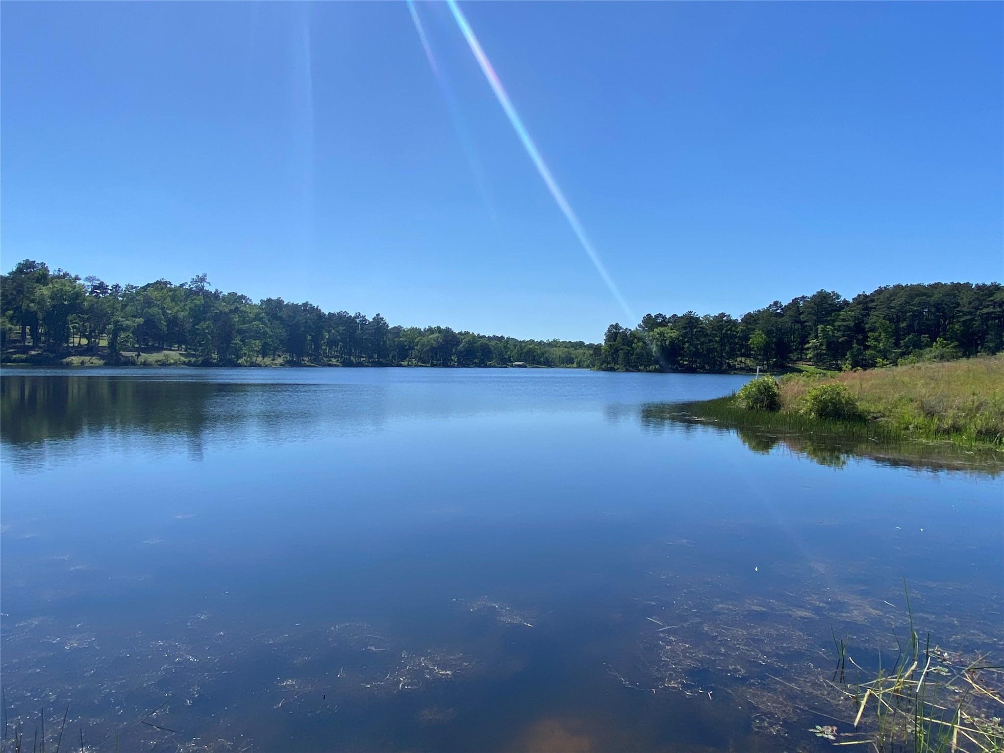 Lot 22 Pr 1313