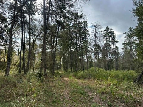 Photo of 2 Salem Church Rd, Willis, TX 77378 (MLS # 45405097)