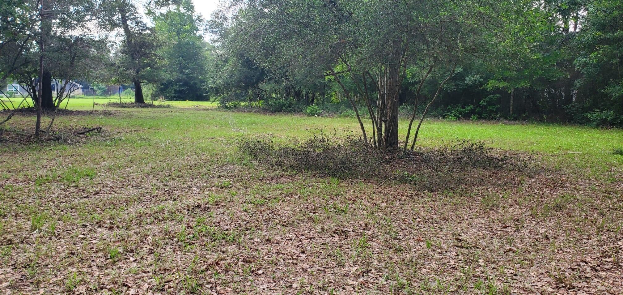 15291 Bart Lake Road