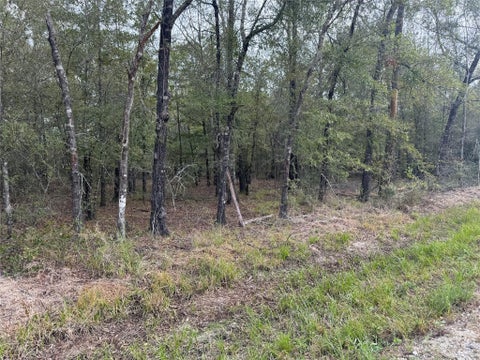 Photo of TBD Private Road 8160, Lovelady, TX 75851 (MLS # 67551068)