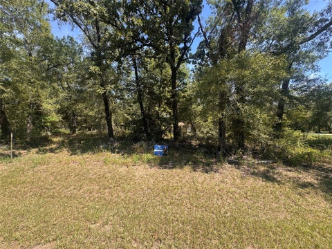 Vacant Land For Sale - TBD 2 Candlelight Lane<br/> Polk County, Livingston, TX 77351