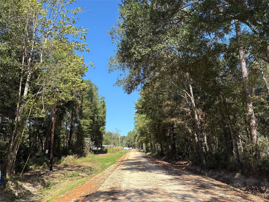 Photo of 242 Mehringer Road, Shepherd, TX 77371 (MLS # 59702440)