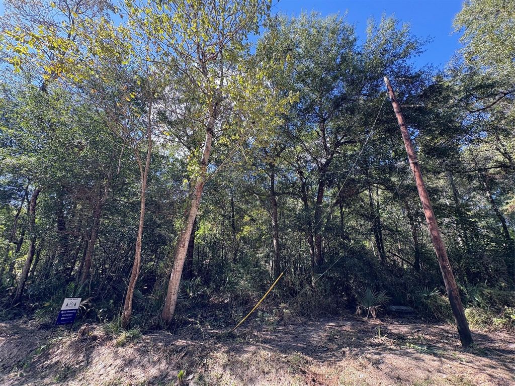 Photo of 242 Mehringer Road, Shepherd, TX 77371 (MLS # 59702440)