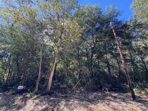 Photo of 242 Mehringer Road, Shepherd, TX 77371 (MLS # 59702440) Photo of 242 Mehringer Road, Shepherd, TX 77371 (MLS # 59702440)