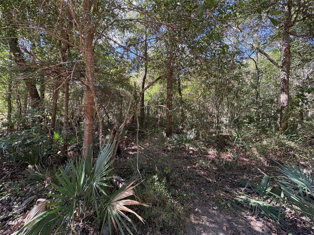 Photo of 242 Mehringer Road, Shepherd, TX 77371 (MLS # 59702440)