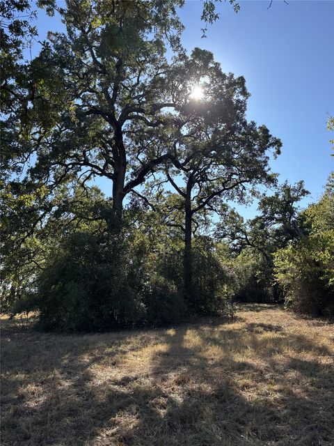 Photo of TBD Cr 163, Caldwell, TX 77836 (MLS # 27039691) Photo of TBD Cr 163, Caldwell, TX 77836 (MLS # 27039691)