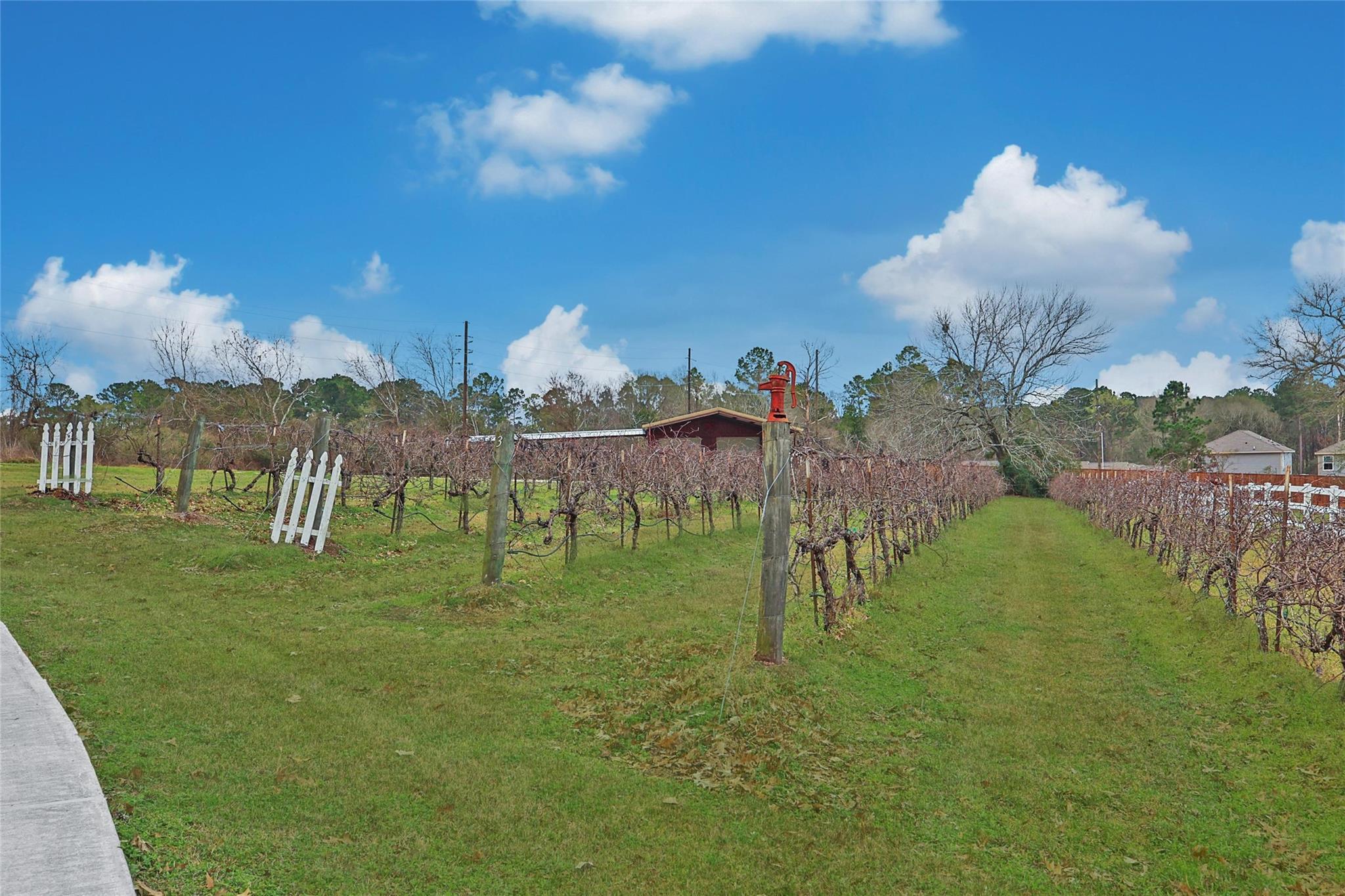 20011 Hilltop Ranch Drive