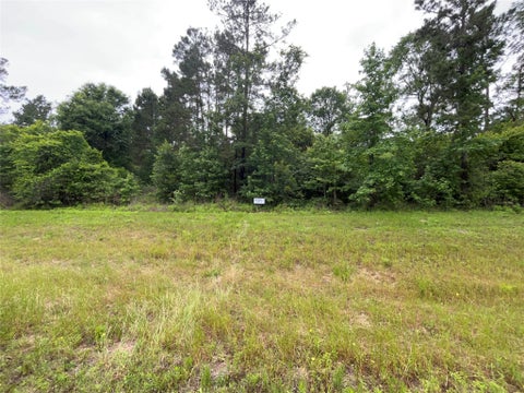 Vacant Land For Sale - 15841 Ridge Rock Road<br/> Willis, TX 77378