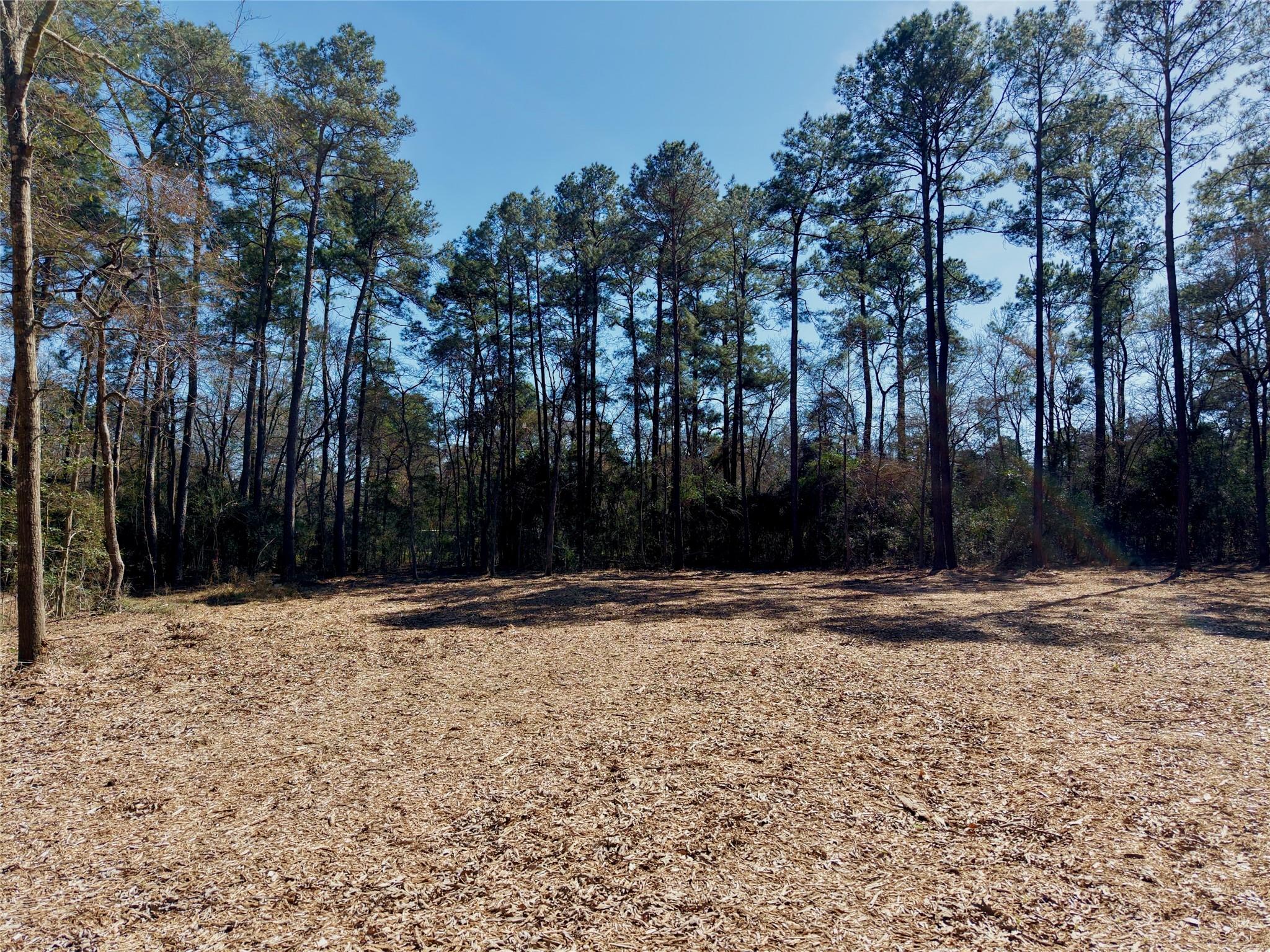 17819 Indigo Hills Drive