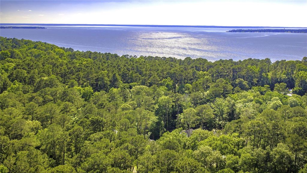 Photo of 205 Tall Pine, Livingston, TX 77351 (MLS # 4369171)