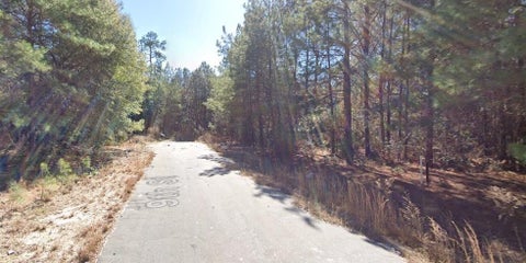 Photo of 224 9th Street, Ivanhoe, TX 75979 (MLS # 11512899)