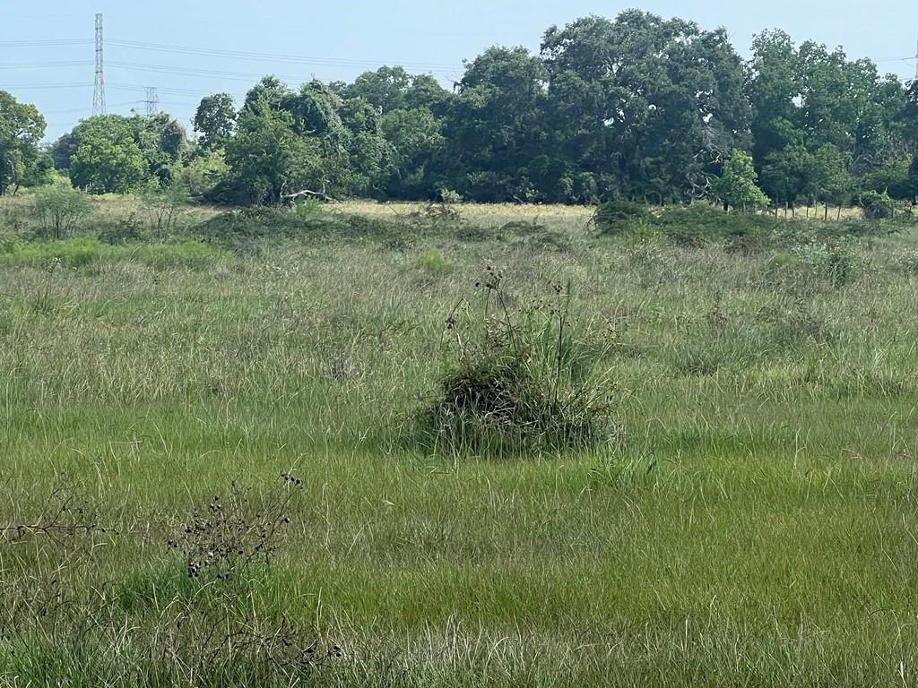 TBD Draeger Drive
