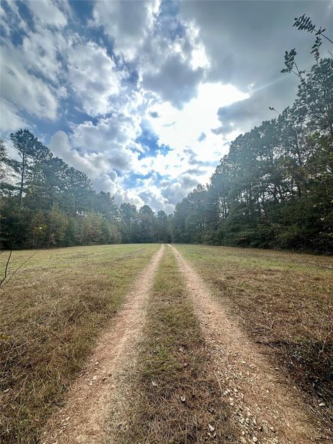 Photo of 11140 Fm 1484 Road, Conroe, TX 77303 (MLS # 62919950)