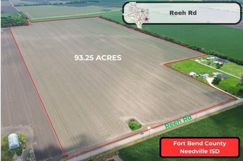 Photo of 4141 Reeh Road, Needville, TX 77461 (MLS # 38051082)