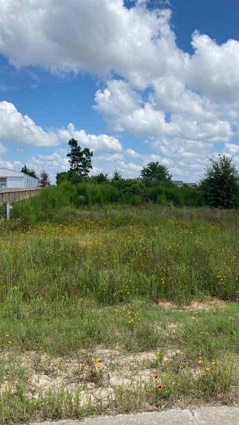 Vacant Land For Sale - 439 Road 5842<br/> Liberty County, Cleveland, TX 77327