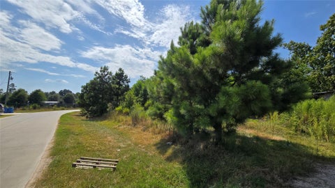 Photo of 1589 County Road 3545, Cleveland, TX 77327 (MLS # 68256681)