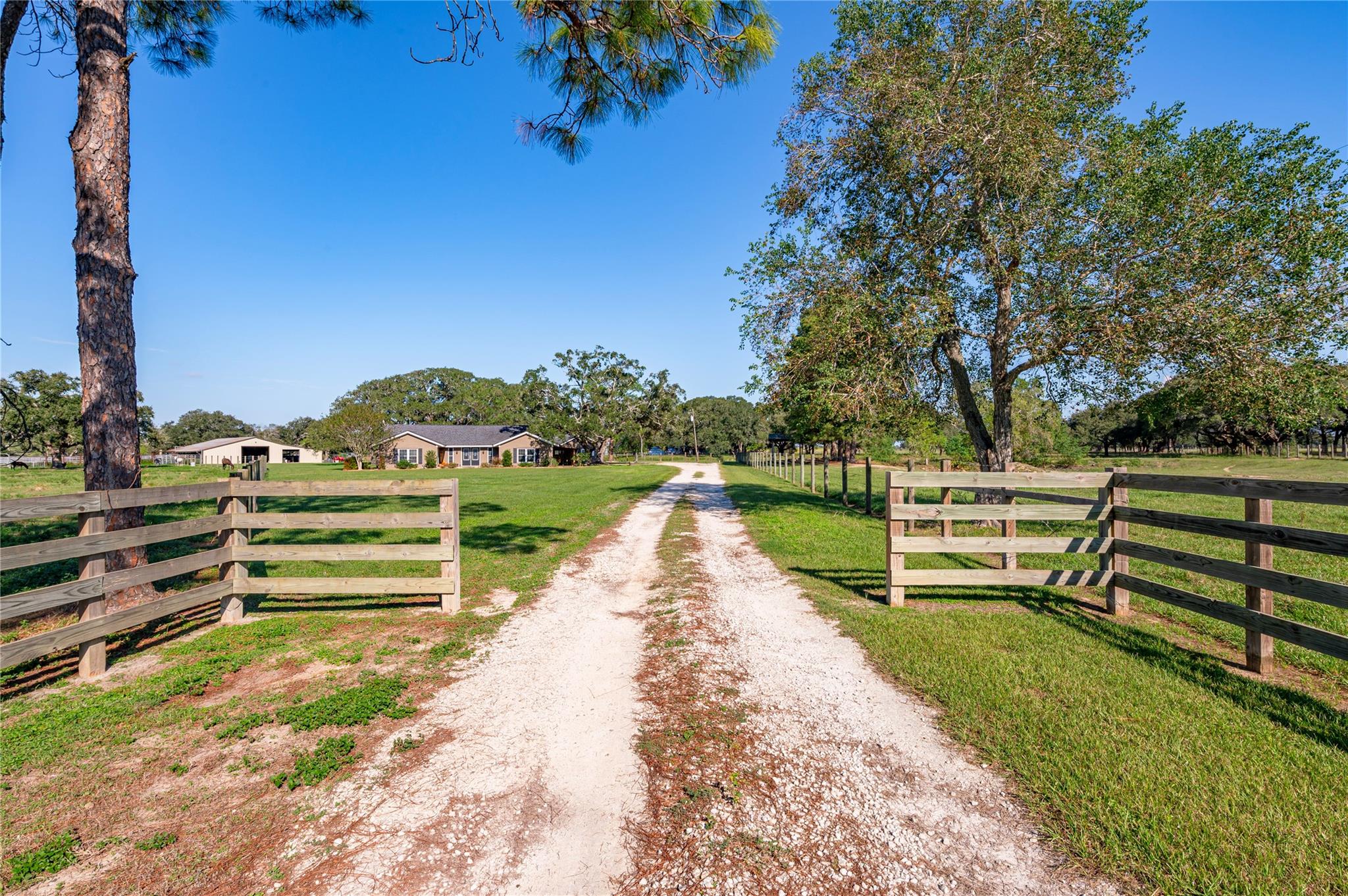 115 County Road 362