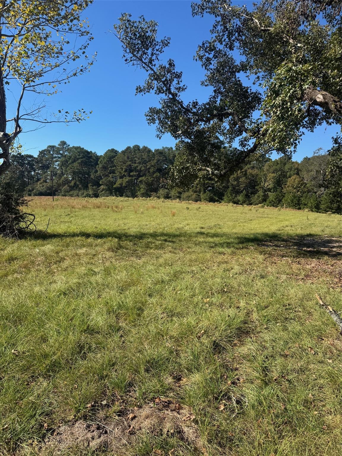 350 Safford Road