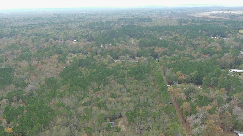 Photo of 3 County Road 129, Liberty, TX 77575 (MLS # 21570229)