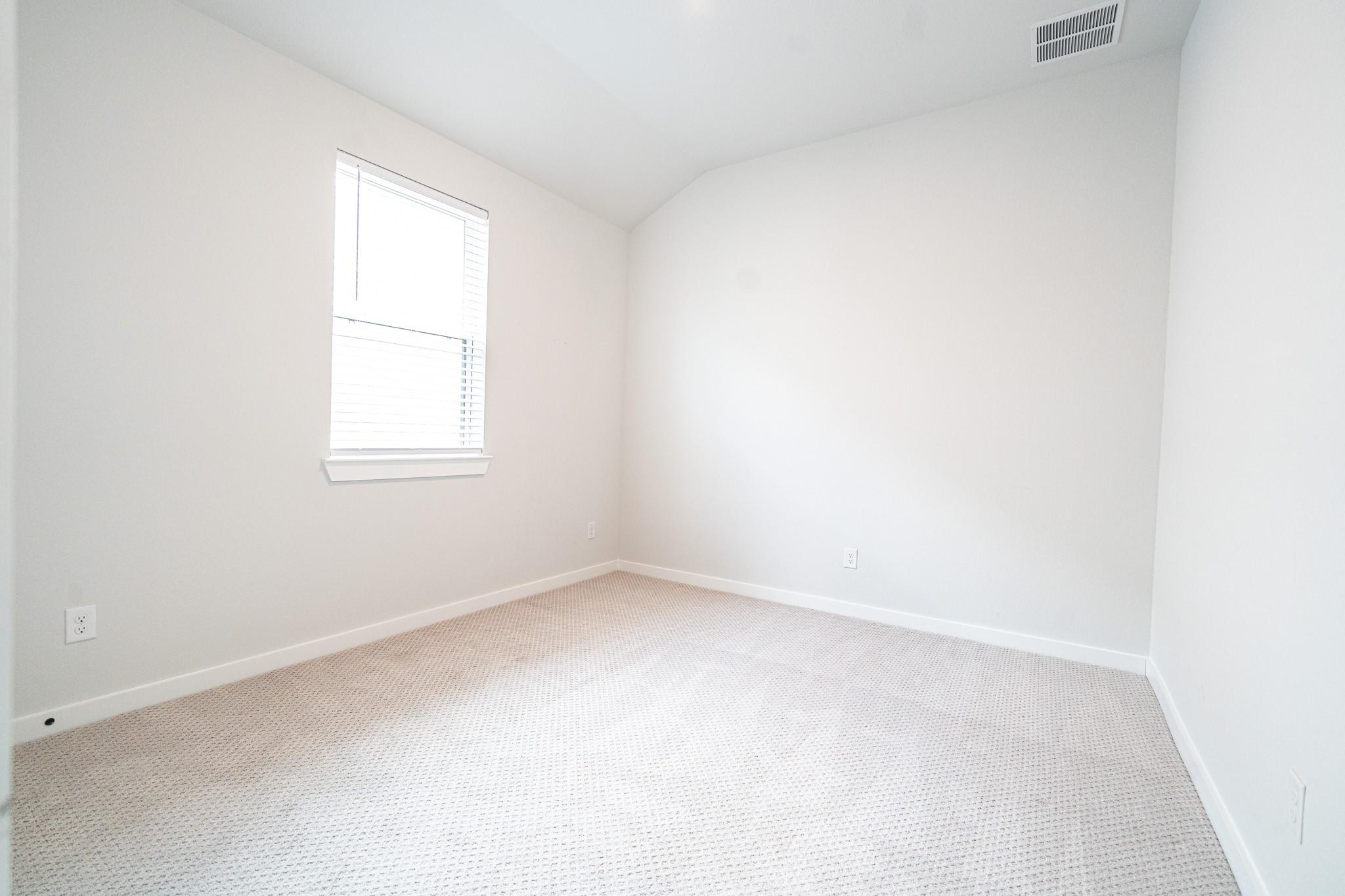 24819 Yellow Spruce
