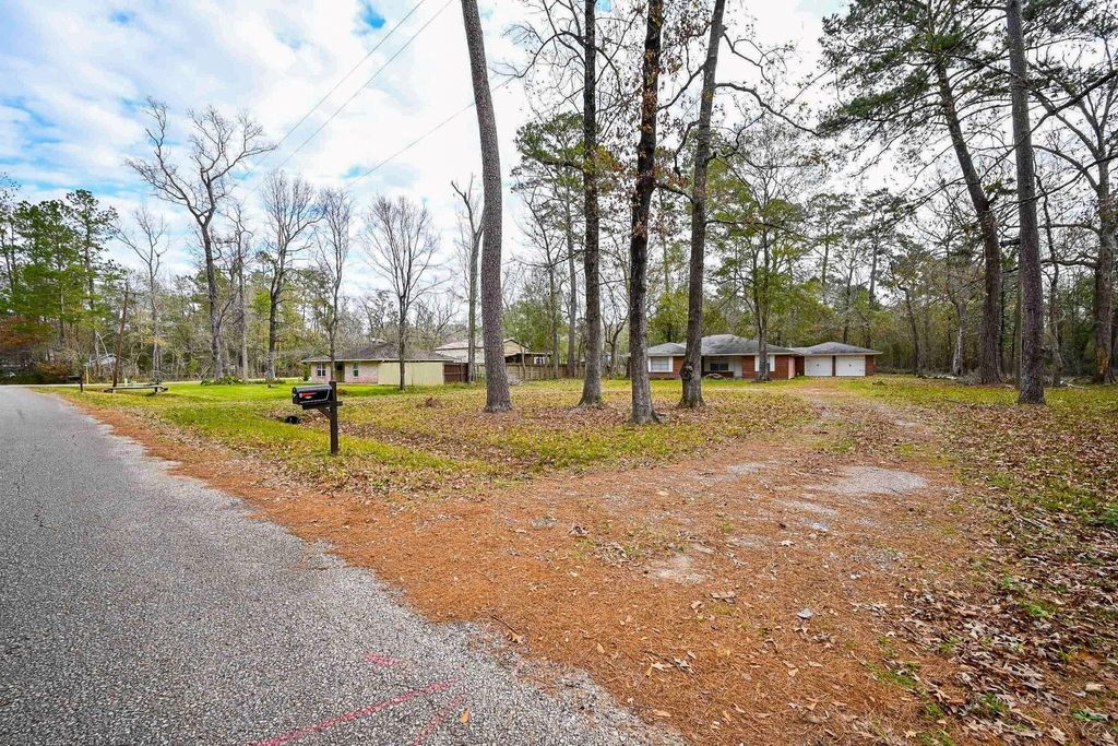 Photo of 17831 Magnolia Lane, New Caney, TX 77357 (MLS # 31945513)