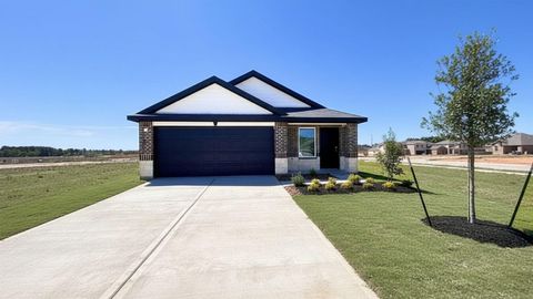 Photo of 256 Elm Spring Drive, Hockley, TX 77447 (MLS # 73916972)