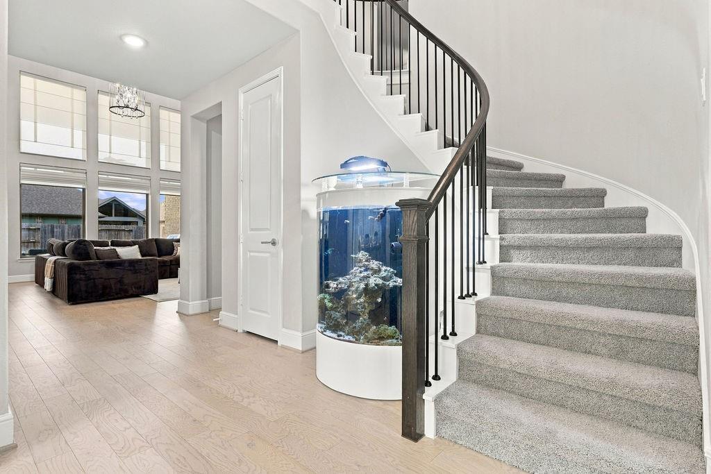 4919 Opal Sunset Court