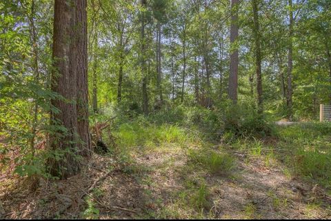 Vacant Land For Sale - 191 Cayman Street<br/> Point Blank, TX 77364