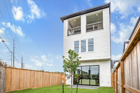 1006 Golden Nectar Houston TX 77008