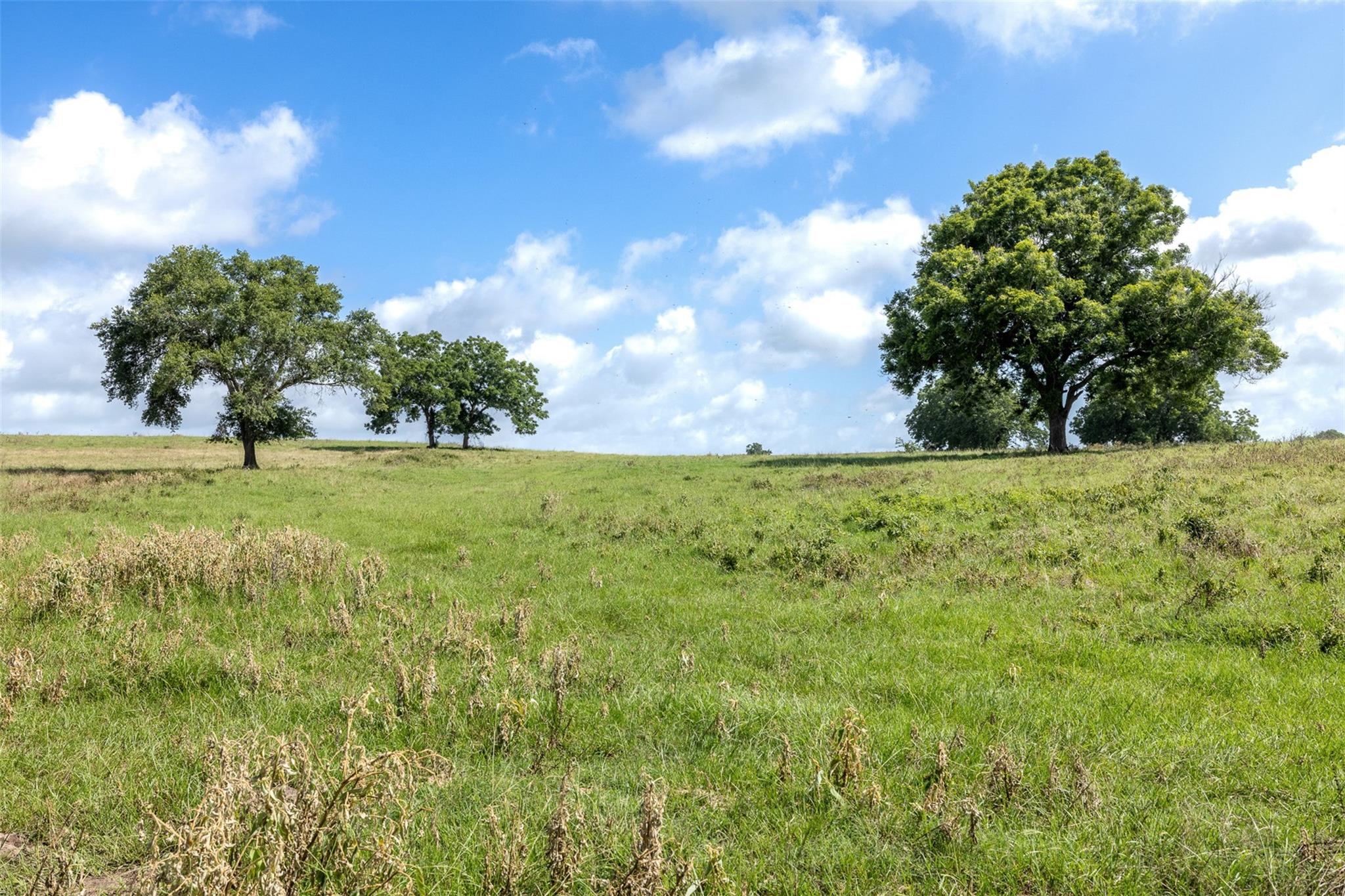 6550 Gibbs Creek Road