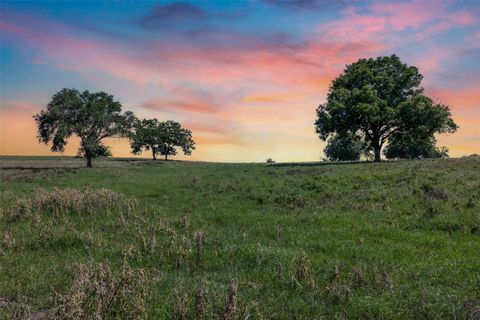 Vacant Land For Sale - 6550 Gibbs Creek Road<br/> Washington County, Chappell Hill, TX 77426