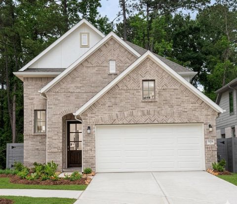 Photo of 9084 Gracious Street, Montgomery, TX 77316 (MLS # 52288226)
