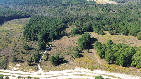 Photo of 20 Vineyard View Trail, Grapeland, TX 75844 (MLS # 38989702)