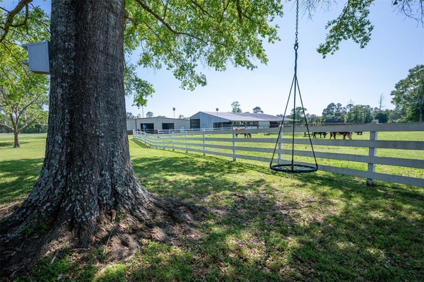 219 COUNTY ROAD 4800, WARREN, TX 77664 - Image ddbc2a97dcb1bdfba502b97d957bf045/2549372807