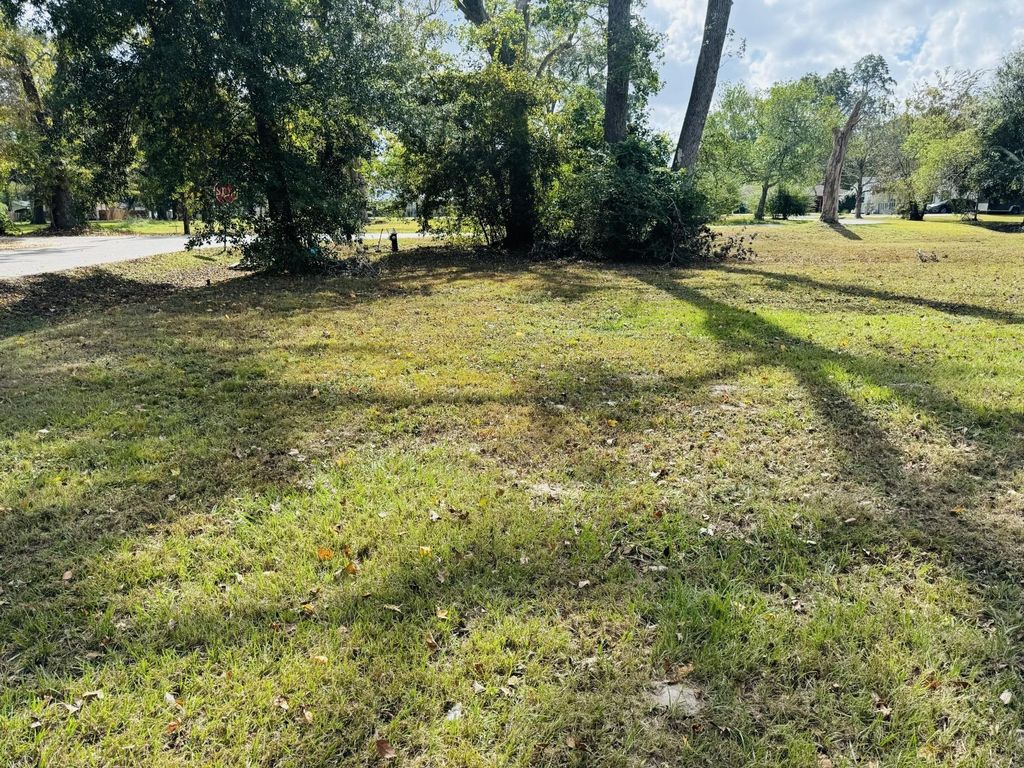 Photo of TBD Clarence St, Dayton, TX 77535 (MLS # 3160777)